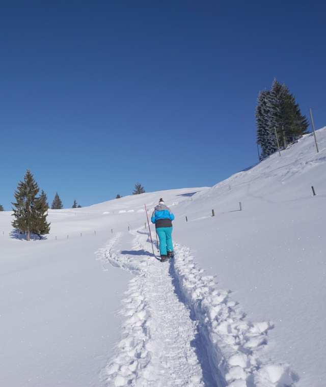Mit den Schneeschuhen unterwegs auf der Marbachegg