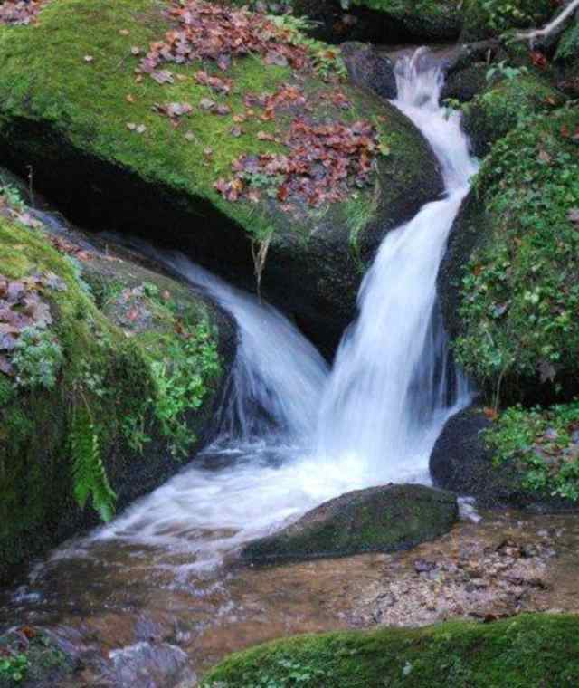 Schönaubach-Klamm