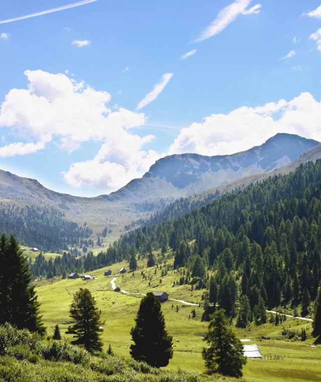 Wanderung ausgehend von Schönfeld.