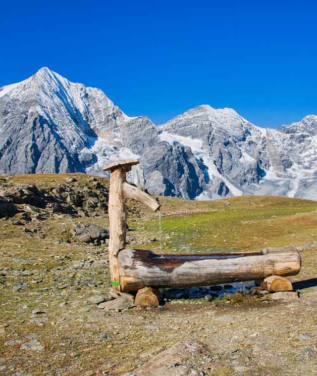Panorama zu Königspitze, Zebru und Ortler