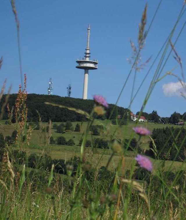 Man wandert durch schöne Wiesen