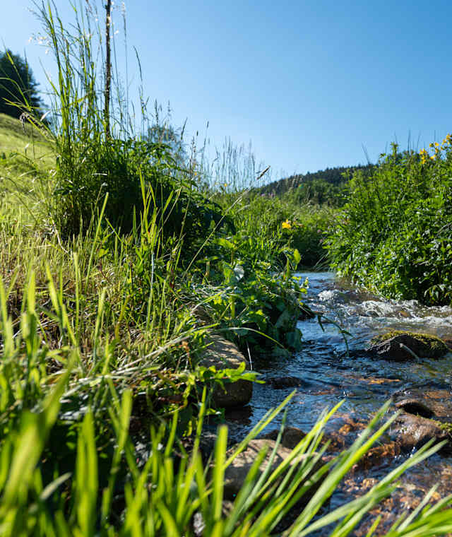 Genießerpfad Schrambacher Burgenpfad