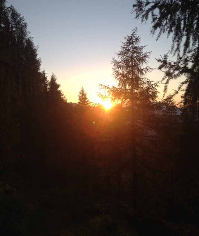 Unterwegs am Schüttalmweg