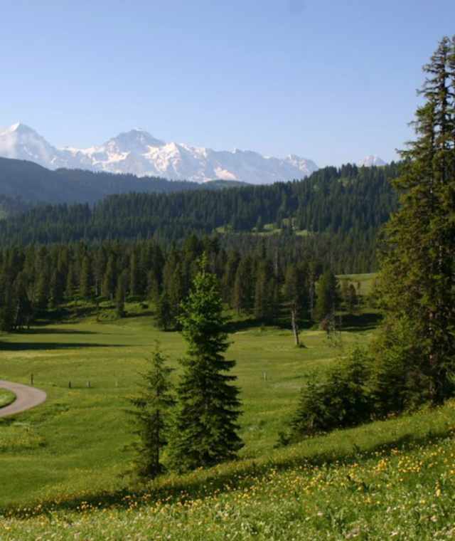 Wunderschöne Aussich vom Moorgebiet.