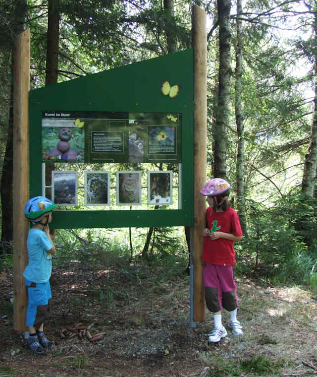 inzell moor-erlebnis-pfad