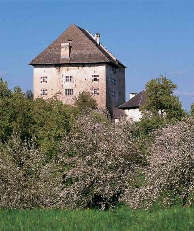 Auf dem Seeblickweg