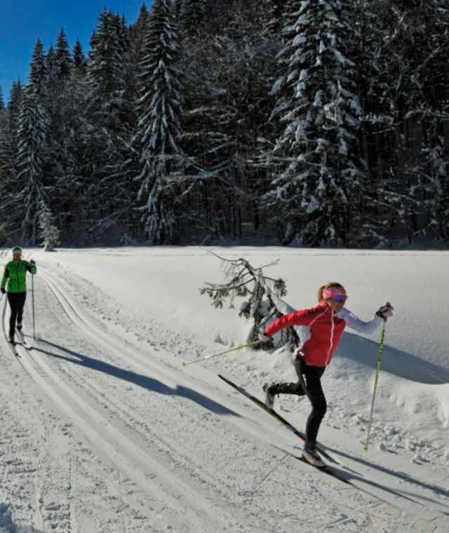 Aufstiegsloipe Seegatterl