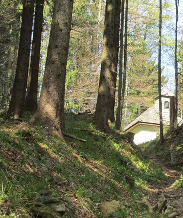 Seegruber - Radstattkapelle - Mondseeberg - Hauberg