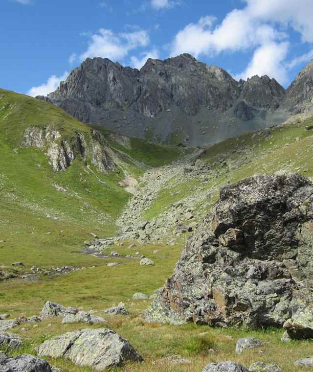 Bürkelkopf