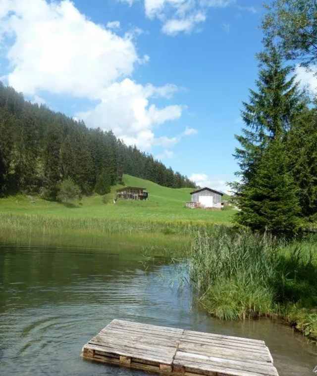 Der Seesumpf ist ein Highlight dieser Tour.