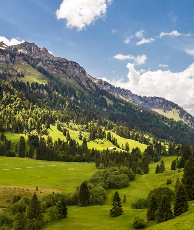 Schönenbach im Bregenzerwald
