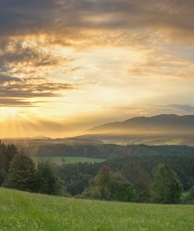 Hochbergpanorama
