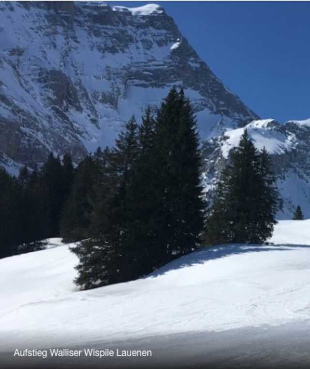 Skitour Walliser Wispile