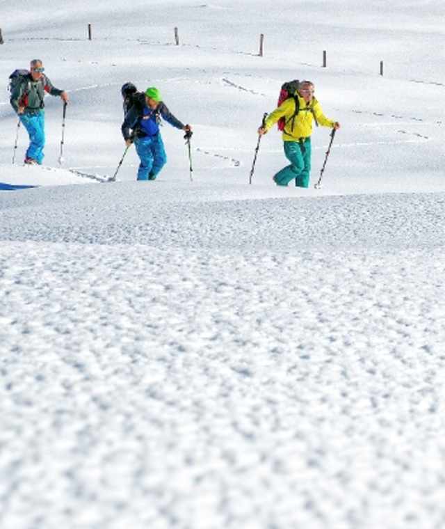 Skitour über den Haldigrat auf den Brisen