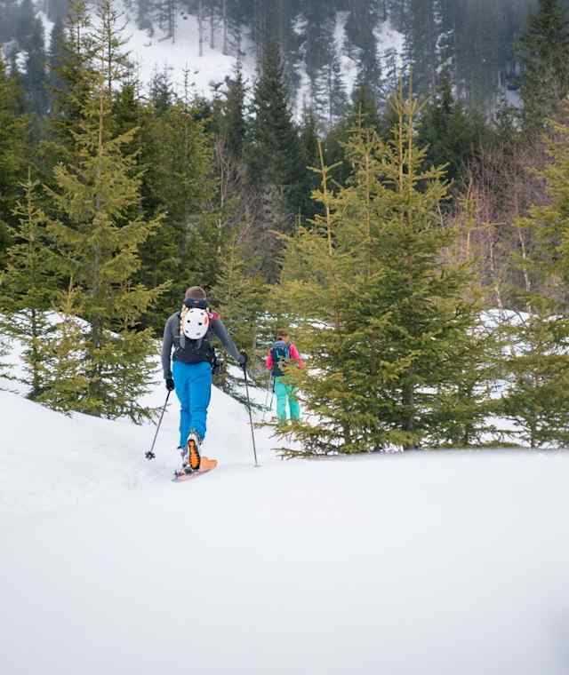 Auf dem Weg zur Jungeralm