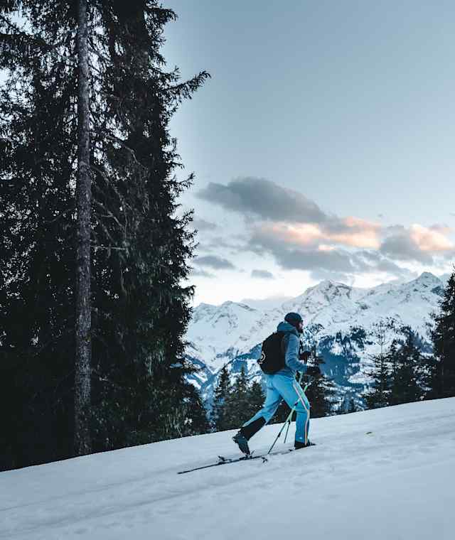 Über Forstwege geht es vom Pass Thurn gemütlich hinaus zur Toni Alm.