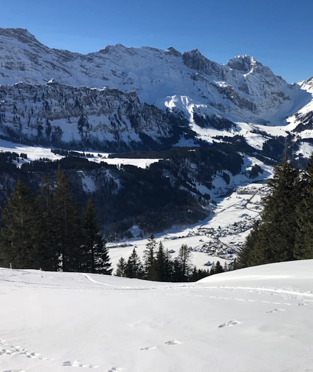 Die Skitour von Engelberg auf den Zieblen bietet herrliches Skigelände und zahlreiche Abfahrtsmöglichkeiten.