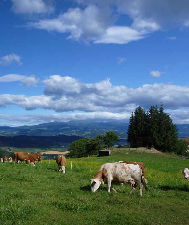 Johannesberg, Blick zur Saualpe