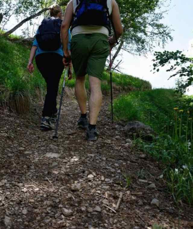 Auf dem Pilgerweg