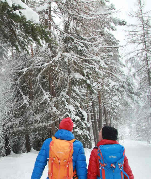 Stanzach-Schneckenwaldbodenrunde