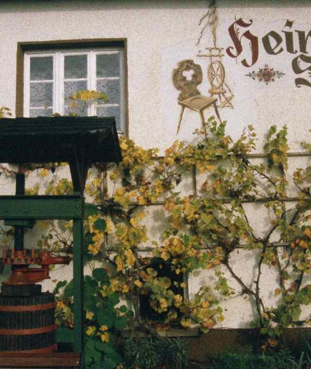 In Steinheim orientieren wir uns am Wanderwegweiser Richtung Bartholomä und spazieren hinaus ins Hirschtal, das sich bald verzweigt.