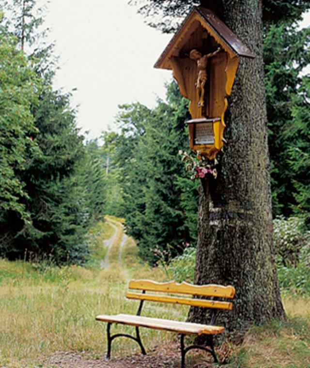 Sternstein-Runde