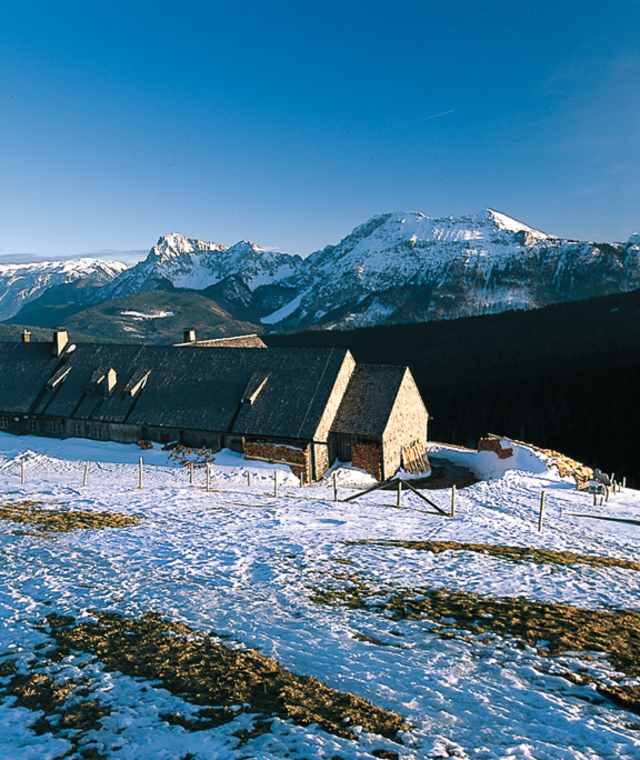 Die Stoißeralm auf der sonnigen Südseite des Teisenbergs