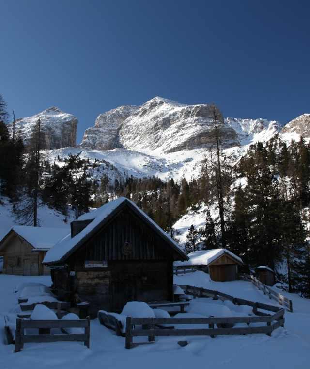 Stollaalm