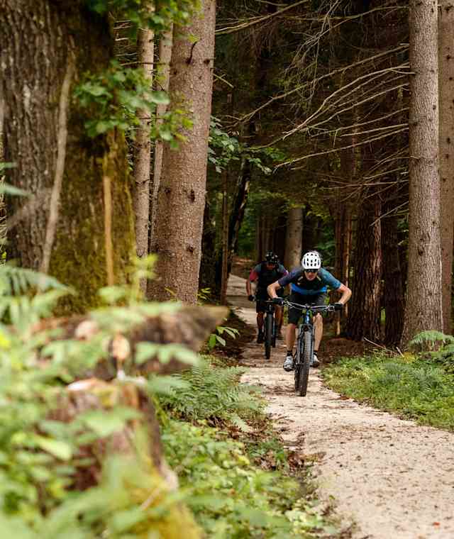 Flowtrail Steinerberg