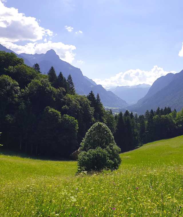 Ausblick Richtung Klostertal
