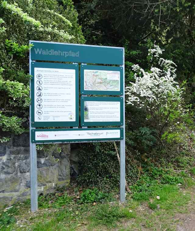 Einstieg in die zweite Etappe und Beginn des Waldlehrpfades
