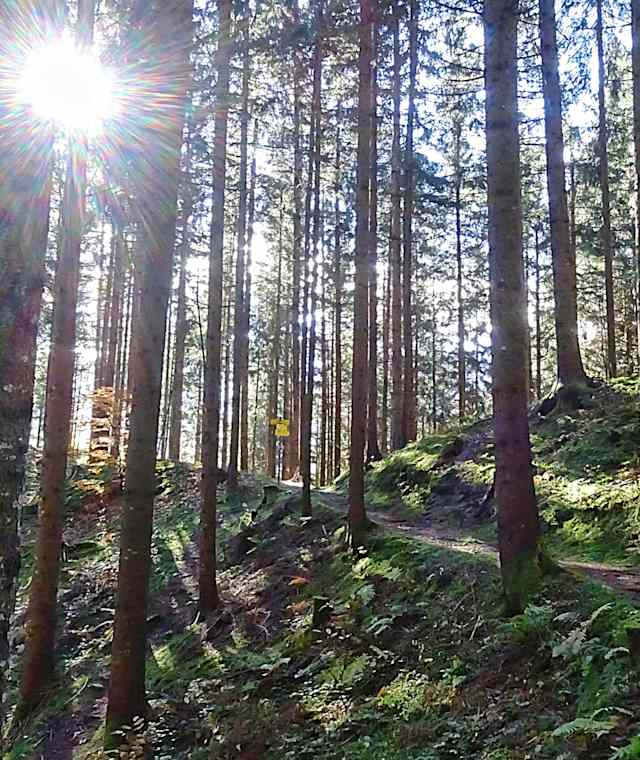 Sunnseitnweg Greifenburg