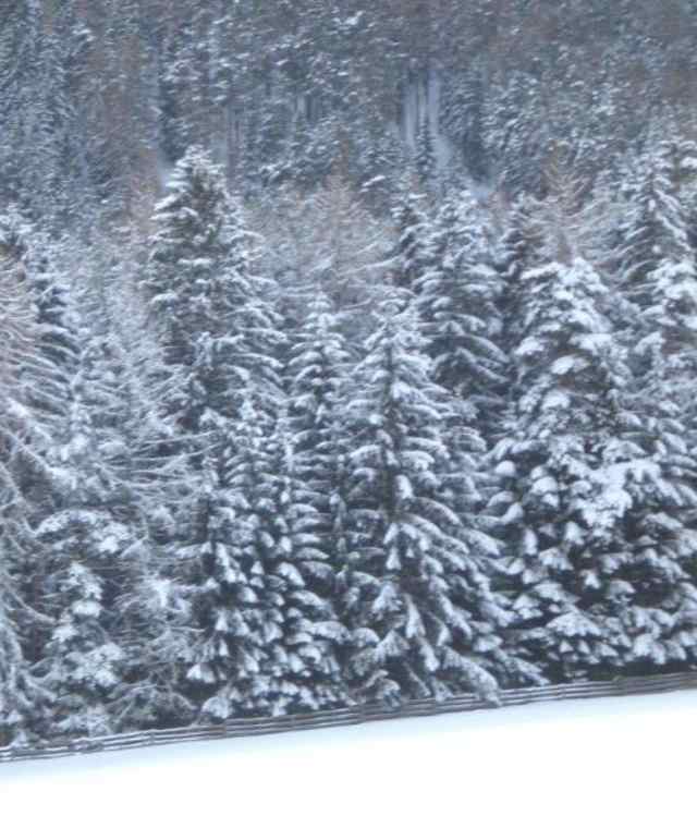 Winterlandschaft