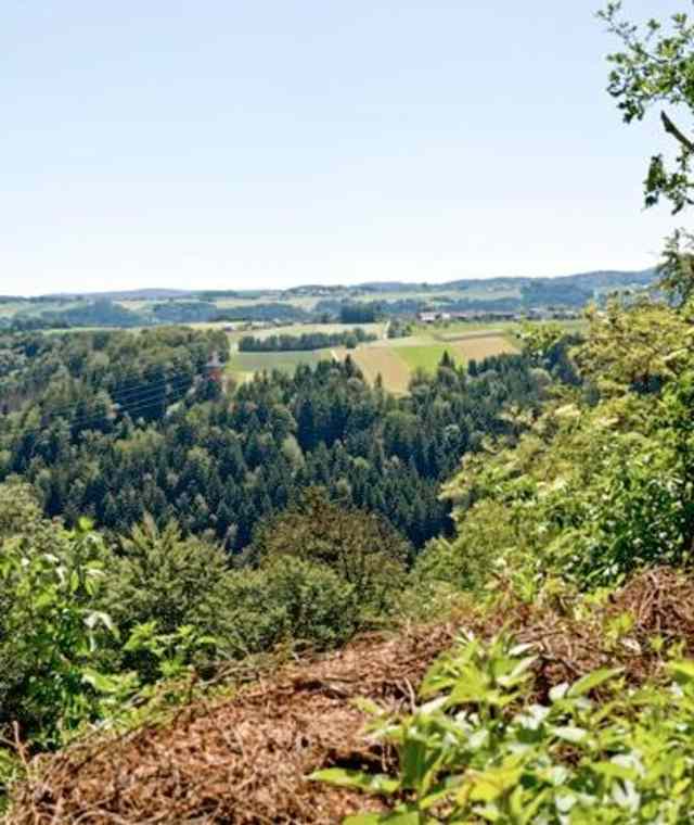 Panoramablick Verlorenes Reith, Pfarrkirchen