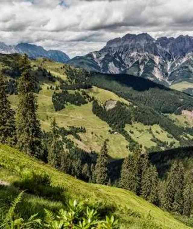 Asitz Trail 