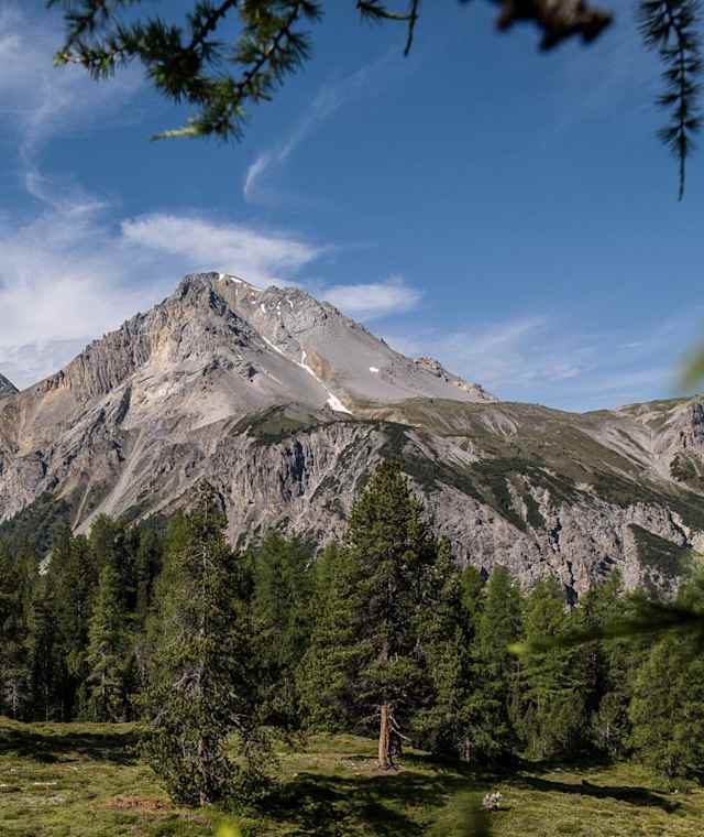 Blick auf den Piz Dora