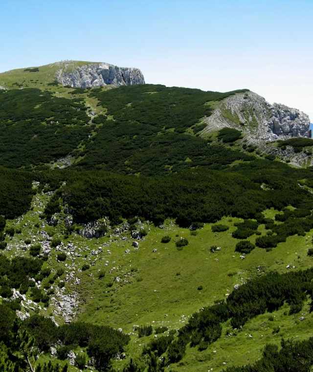 Kordeschkopf