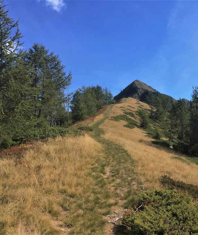 Unterwegs auf der 16. Etappe der Via Alta Vallemaggia