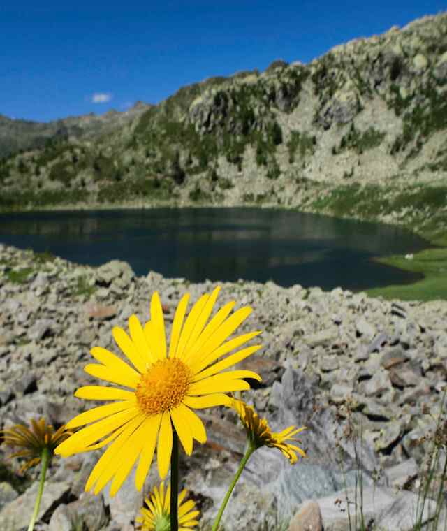 Unterwegs auf der sechsten, östlichen Etappe der Via Alta Vallemaggia