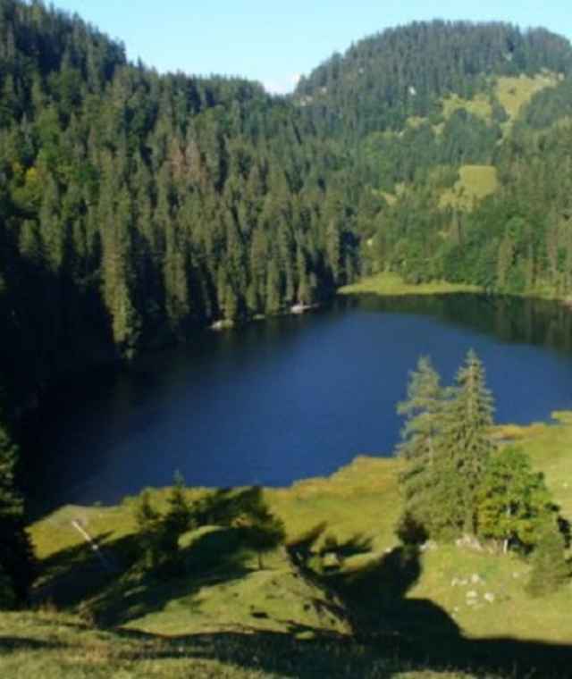 Taubensee