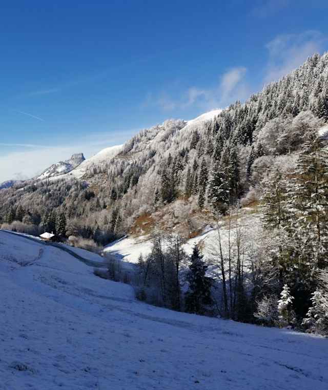 Vom Taubensee weiter zur Taubenseehütte.