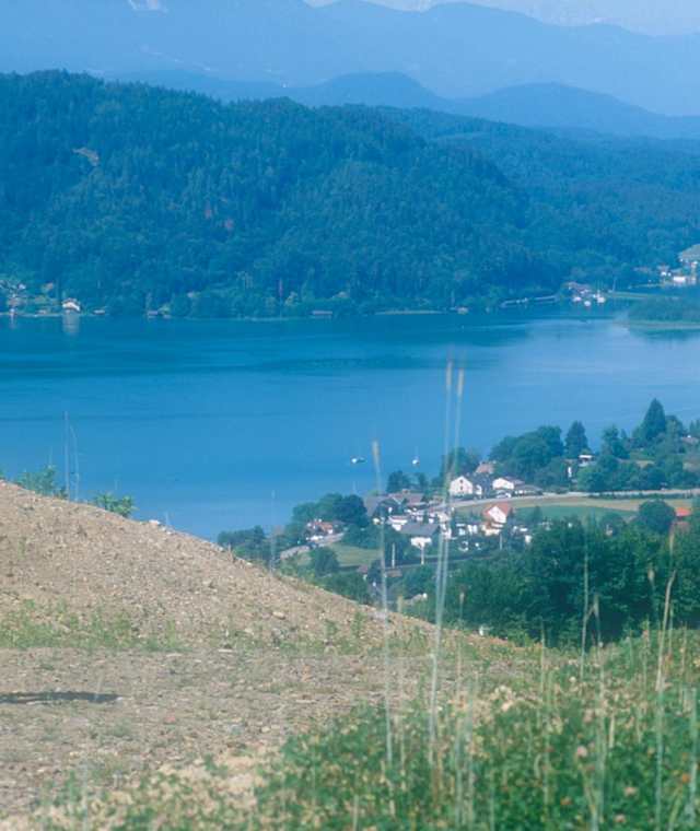 Auf der Mountainbike-Strecke Techelsberg