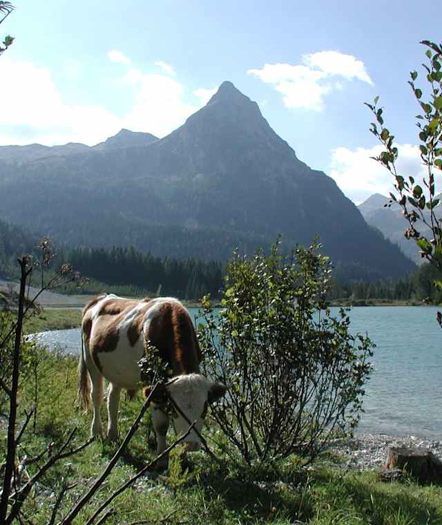 Südufer Schlierersee