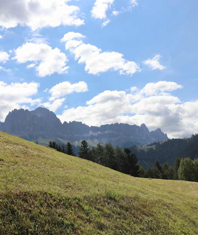 Blick auf den Rosengarten in Tiers