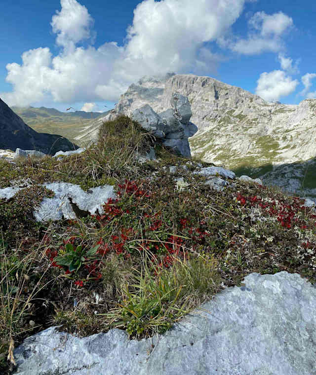 Bei der Tilisunahütte