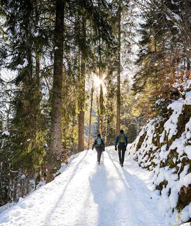 Winterwanderung zum Freibergsee.