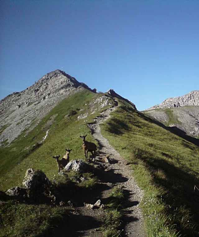 Herrlicher Gratweg zum Liechtensteiner Augstenberg