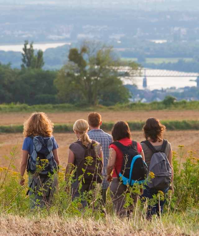 Saynsteig Meisenhof Blick auf Rhein
