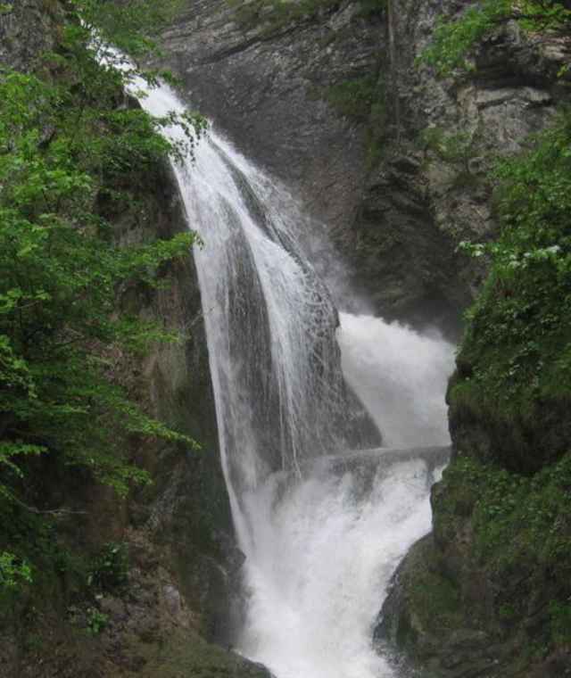 Trefflingfall