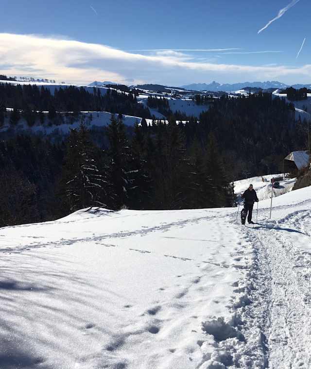 Auf dem Truber Schneeschuhtrail